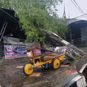 2 Orang Warga di Sambar Petir Saat Hujan Badai di Batusangkar