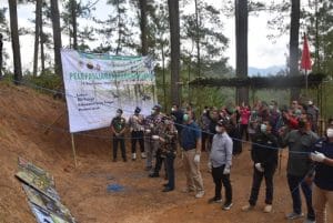 Enam Ekor Elang Brontok dilepasliarkan di Kawasan Bur Telege, Aceh