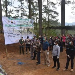 Enam Ekor Elang Brontok dilepasliarkan di Kawasan Bur Telege, Aceh