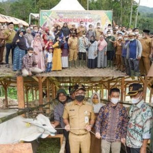 Wujudkan Visi Misi, Bupati Solok Selatan Luncurkan Program Satu Keluarga Satu Sapi (SUKASAPI)