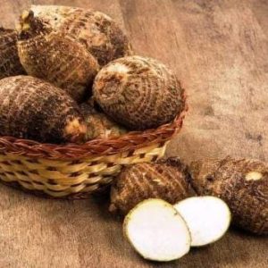 Talas asal Jepang atau satoimoyang ditanam di Dusun Cipanaruban