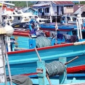 Nelayan Pessel Rasakan Dampak La Nina, Hasil Tangkapan Ikan Menurun