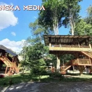 Rumah Pohon Sianok hadir di wisata kuliner terbaru Bukittinggi Agam
