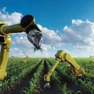 Kementerian Pertanian melepas sejumlah petani muda ke Jepang