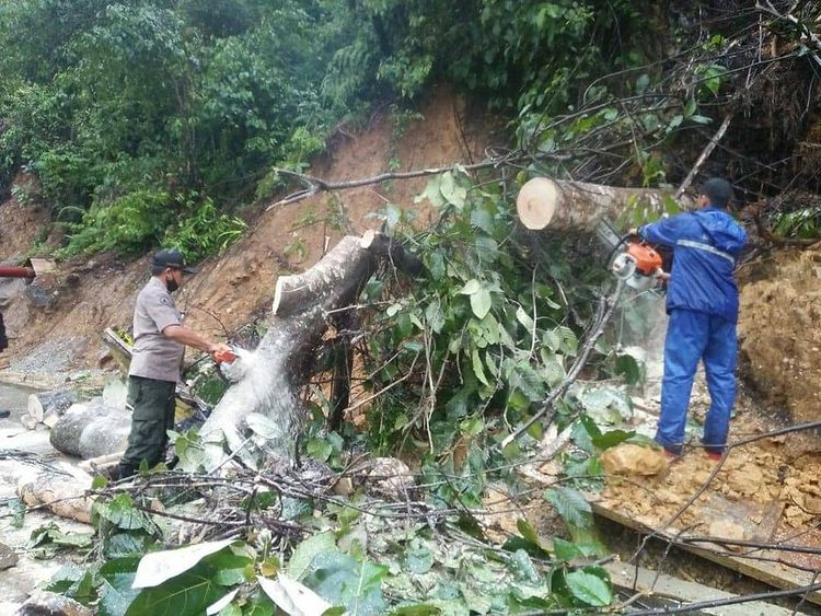 Pohon Tumbang di Indarung, Pantai Air Manis dan Mobil Tertimpa Tiang Listrik di kota Padang