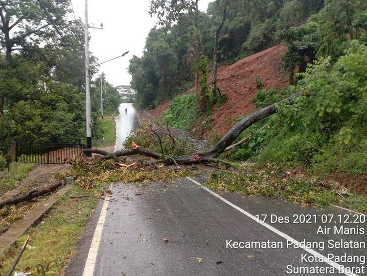 Pohon Tumbang di jalan baru Pantai Air Manis dan Mobil Tertimpa Tiang Listrik di kota Padang