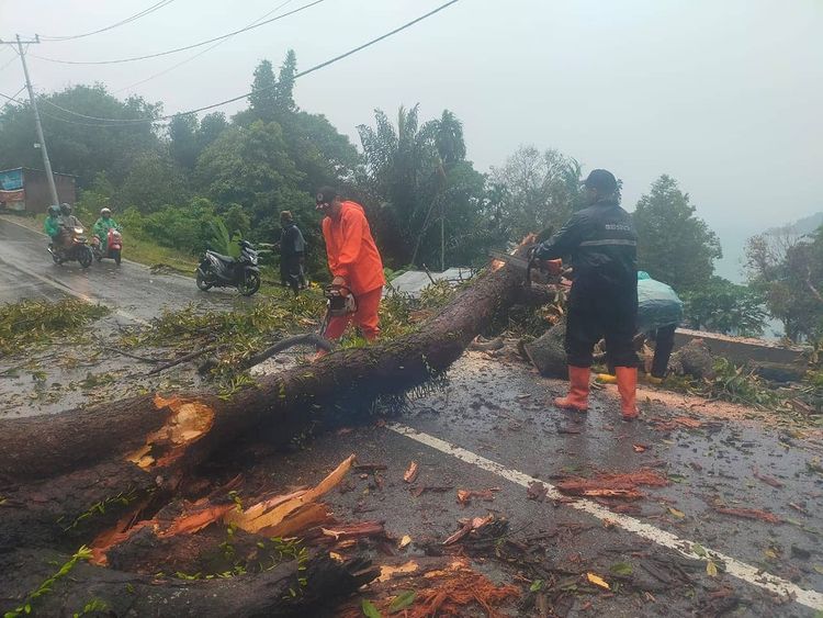 Pohon Tumbang di jalan baru Pantai Air Manis dan Mobil Tertimpa Tiang Listrik di kota Padang