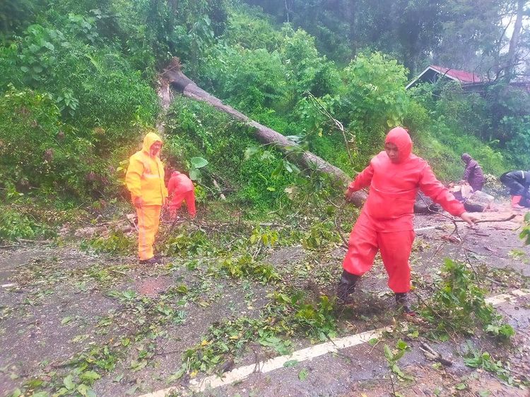 Pohon Tumbang di jalan baru Pantai Air Manis dan Mobil Tertimpa Tiang Listrik di kota Padang