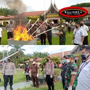 Pemusnahan Barang Bukti Ganja Kering Di Halaman Polres Pasaman Barat