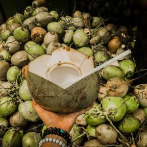 Air Kelapa Hijau Merupakan Salah Satu Solusi Dikala di Tengah Lonjakan Omicron
