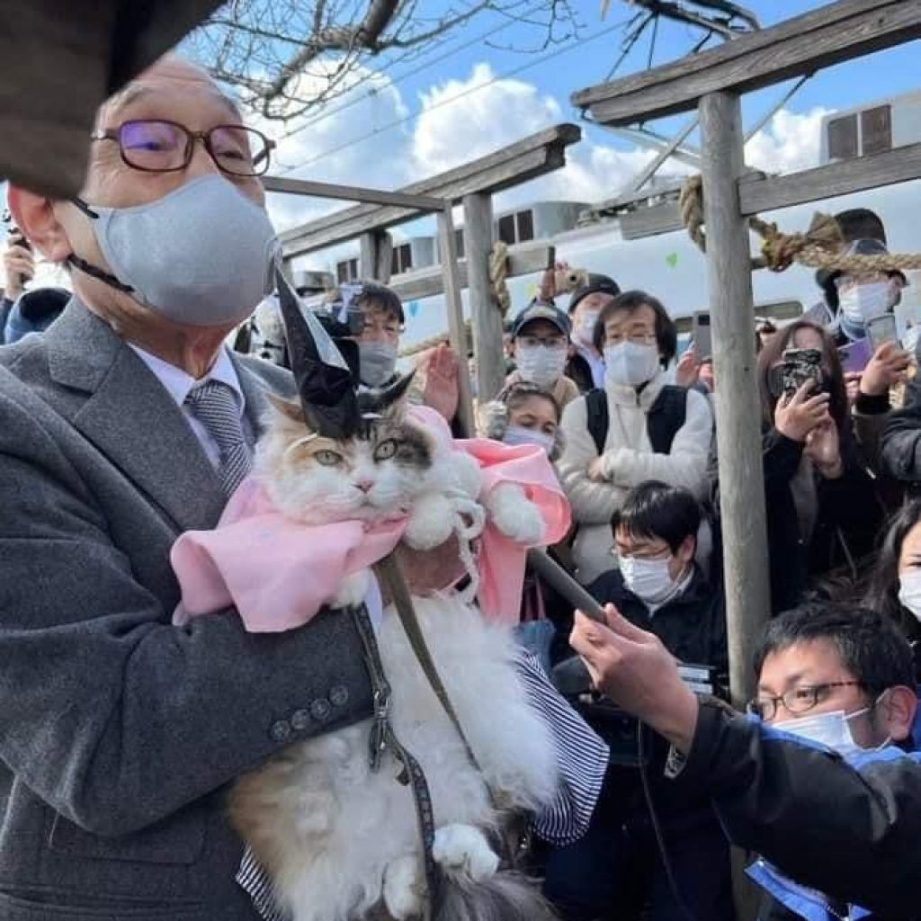 Seekor kucing menjadi pendeta di Jepang