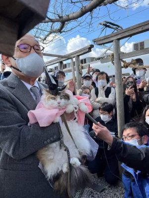 Seekor kucing menjadi pendeta di Jepang