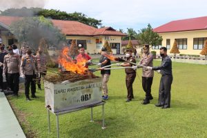 Kapolres Pasaman Barat Bersama Forkopimda Pasaman Barat Musnahkan Barang Bukti 85 Batang Ganja