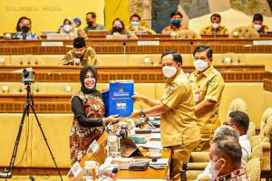 Anggota DPR RI Sumbar Reska Oktoberia Perjuangkan Nagari Persiapan di Pasaman Barat