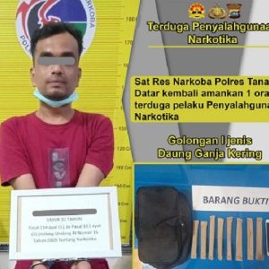 Sat Res Narkoba Polres Tanah Datar Kembali Amankan Satu Orang Terduga Pelaku Penyalahgunaan Narkotika