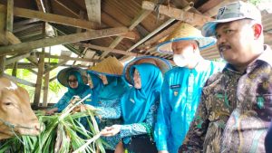 Wakil Ketua DPRD Pasbar Hadiri Penilaian Lomba PKK