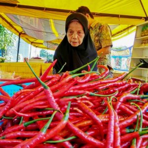 Hargai Cabai di Padang Masih Terasa Pedas