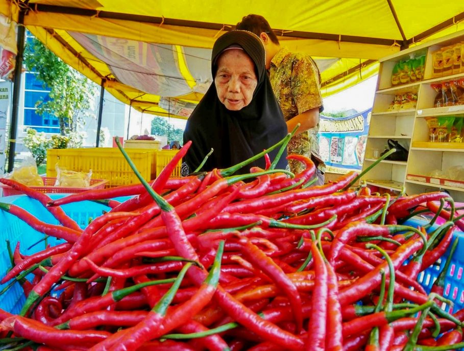 Hargai Cabai di Padang Masih Terasa Pedas