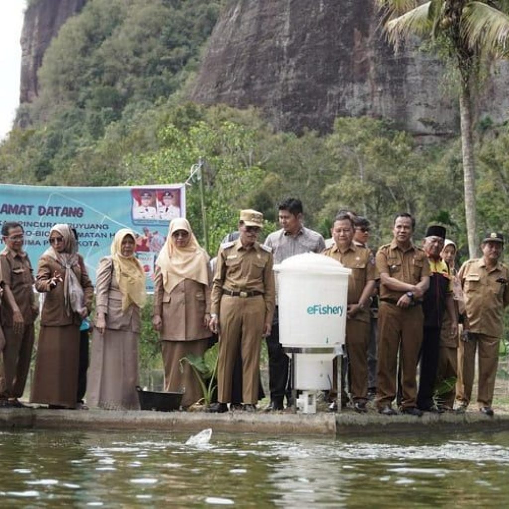 Kelompok Pembudidaya Ikan (Pokdakan) Pincuran Ruyuang Wakili Limapuluh Kota di Ajang Sumbar