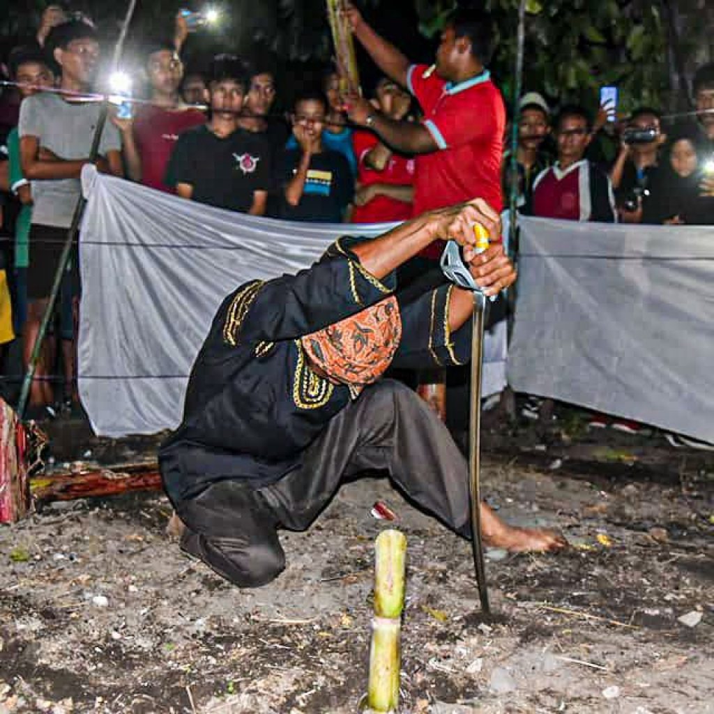 Manabang Batang Pisang prosesi kedua rangkaian Pesona Hoyak Tabuik Budaya Piaman