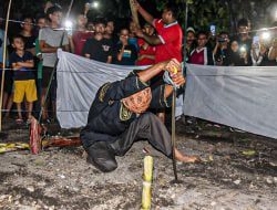 Manabang Batang Pisang prosesi kedua rangkaian Pesona Hoyak Tabuik Budaya Piaman
