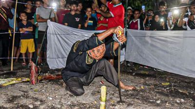 Manabang Batang Pisang prosesi kedua rangkaian Pesona Hoyak Tabuik Budaya Piaman
