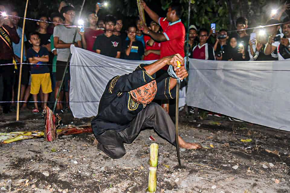 Manabang Batang Pisang prosesi kedua rangkaian Pesona Hoyak Tabuik Budaya Piaman Manabang Batang Pisang prosesi kedua rangkaian Pesona Hoyak Tabuik Budaya Piaman