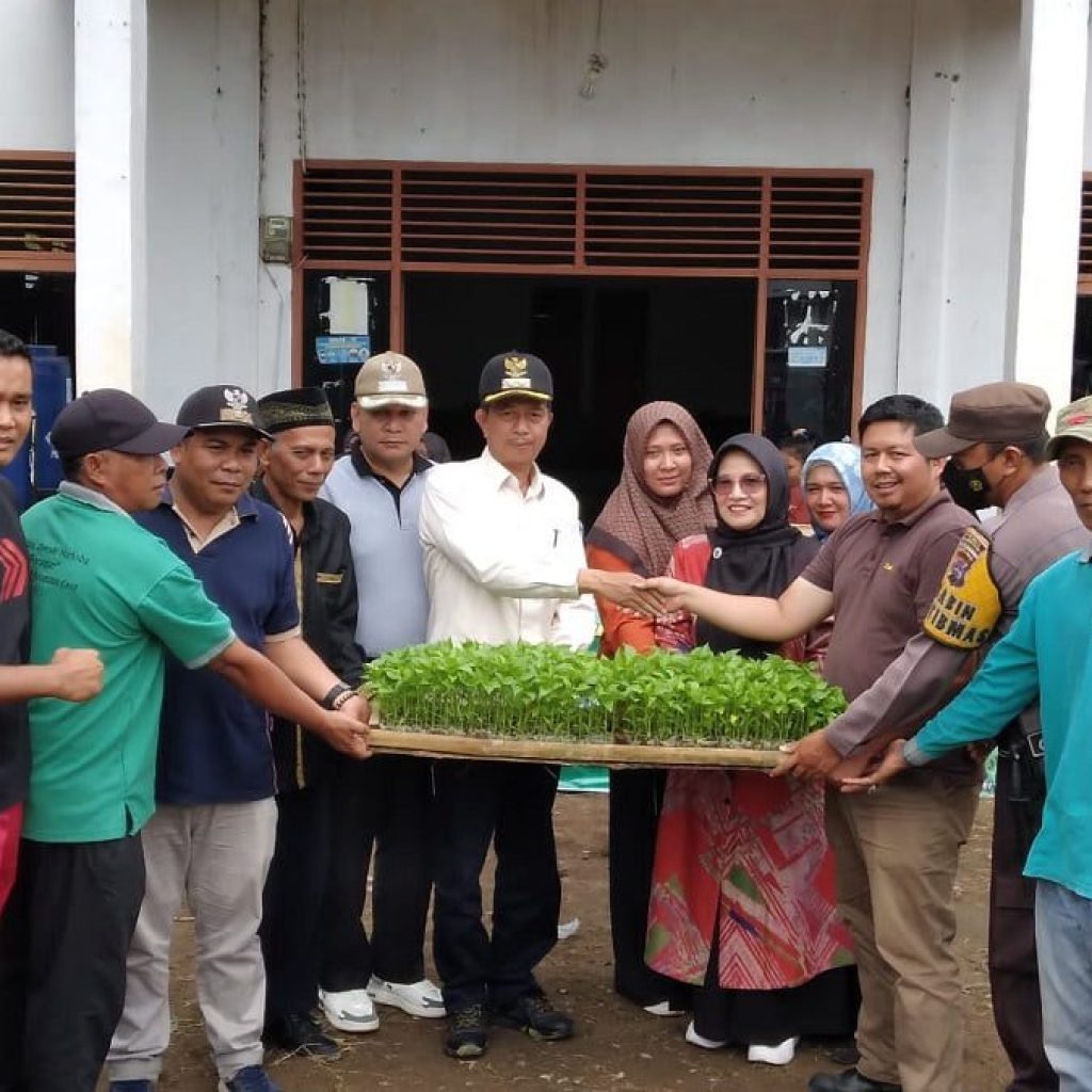 Canangkan Menanam Cabai di Daerah, Jorong Bunuik Serahkan 5000 Bibit Cabai dan 15.000 Kecambah Cabai Kepada Masyarakat