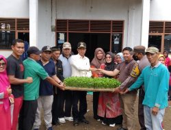 Canangkan Menanam Cabai di Daerah, Jorong Bunuik Serahkan 5000 Bibit Cabai dan 15.000 Kecambah Cabai Kepada Masyarakat