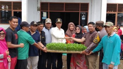Canangkan Menanam Cabai di Daerah, Jorong Bunuik Serahkan 5000 Bibit Cabai dan 15.000 Kecambah Cabai Kepada Masyarakat