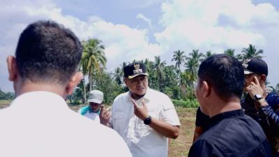 Tanggapi Keluhan Kelompok Tani, Wabup Tanah Datar Tinjau Langsung ke Lapangan