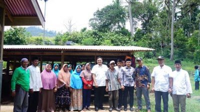 Tanggapi Keluhan Kelompok Tani, Wabup Tanah Datar Tinjau Langsung ke Lapangan