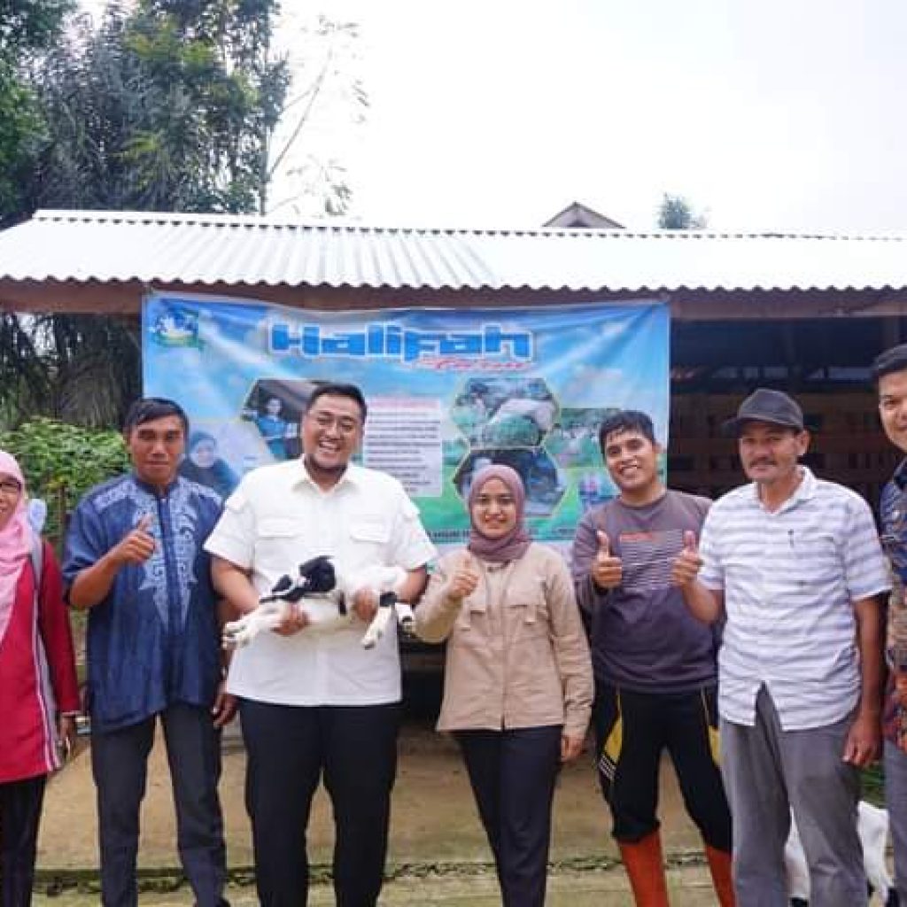 Peternakan Kambing Etawa Cukup Menjanjikan Keuntungan