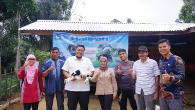 Peternakan Kambing Etawa Cukup Menjanjikan Keuntungan