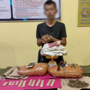 Satresnarkoba Polres Pessel Ringkus 2 Tersangka Narkoba, 2 Paket Besar Ganja dan Timbangan Ikut Disita