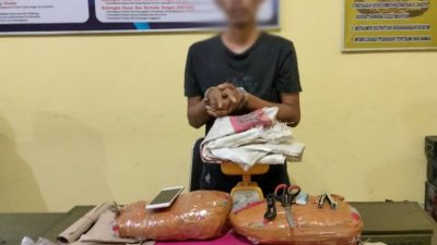 Satresnarkoba Polres Pessel Ringkus 2 Tersangka Narkoba, 2 Paket Besar Ganja dan Timbangan Ikut Disita