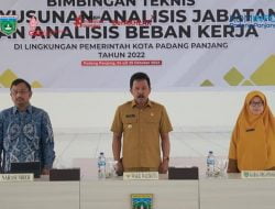 Kembangkan Aplikasi Pengisian Analisa dan Evaluasi Jabatan Online (Palito) Pemko Gelar Bimtek Anjab dan ABK