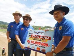 Pacu Kuda Tanah Datar Open Race & Tradisional 2022 Resmi Dibuka Bupati, 46 Ekor Kuda Kembali Berpacu