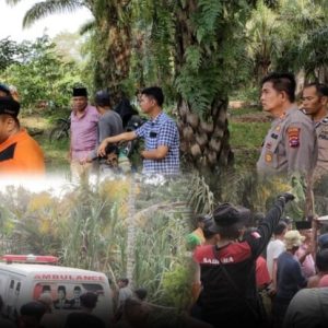 Buaya di Sungai Batang Lunang Pesisir Selatan Menerkam Seorang Korban