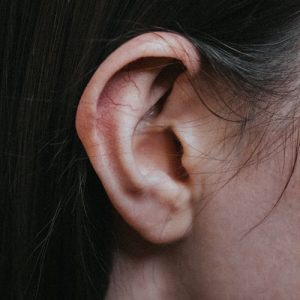 Selain Area Rangsangan Seksual Ketahui Juga Fungsi Daun Telinga Berikut ini