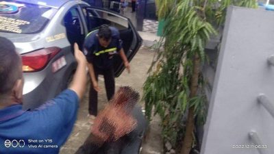 Seorang Remaja Asal Solok Diserang dalam Perjalanan Pulang dari Nonton Bareng Piala Dunia