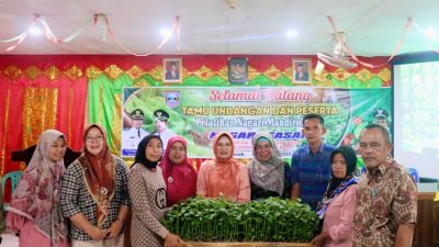 Upaya Penguatan Ketahanan Pangan, Nagari Sasak Gelar Pelatihan Nagari Mandiri Sayur