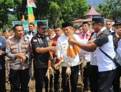 Panen Raya Jagung Lapas Terbuka Kelas IIB Pasaman, Wabup Pasbar Himbau Manfaatkan Lahan dan Jadi Contoh Bagi Warga Binaan dan Petani