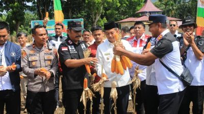 Panen Raya Jagung Lapas Terbuka Kelas IIB Pasaman, Wabup Pasbar Himbau Manfaatkan Lahan dan Jadi Contoh Bagi Warga Binaan dan Petani