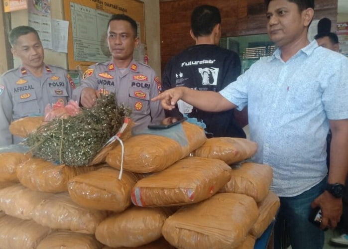 Penemuan 36 Kg Ganja di Gudang Sekolah sdn Padang Pariaman 2 - salingka media