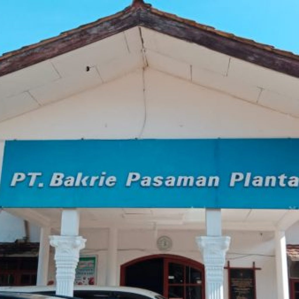 Putusan Verstek PN Pasaman Barat Terhadap PT BPP Belum Final, ini Tanggapan Manager PT BPP M Irvan Ardiyan