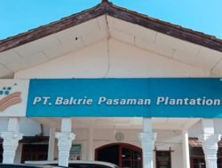 Putusan Verstek PN Pasaman Barat Terhadap PT BPP Belum Final, ini Tanggapan General Manager PT BPP M Irvan Ardiyan