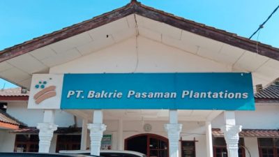 Putusan Verstek PN Pasaman Barat Terhadap PT BPP Belum Final, ini Tanggapan Manager PT BPP M Irvan Ardiyan