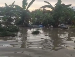 Seorang Warga Meninggal Akibat Banjir Bandang Semarang