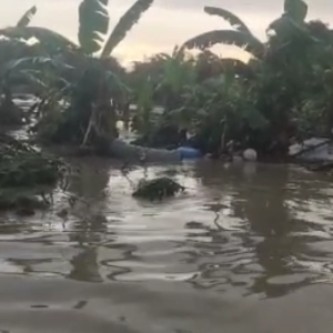 Seorang Warga Meninggal Akibat Banjir Bandang Semarang